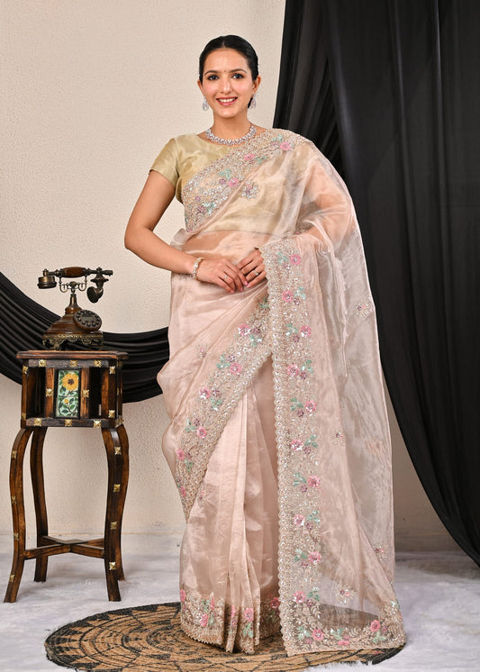 Tissue Saree with Fancy Work
