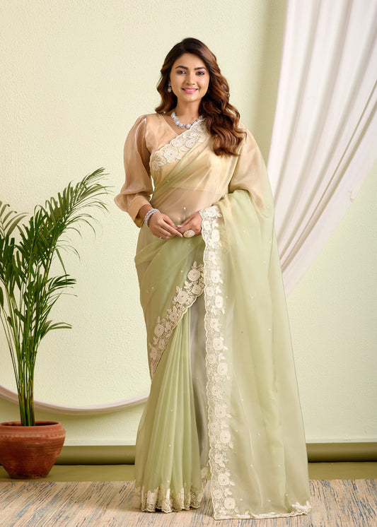 Glass Tissue Saree – A Symphony of Sheer Grace and Embroidery Elegance