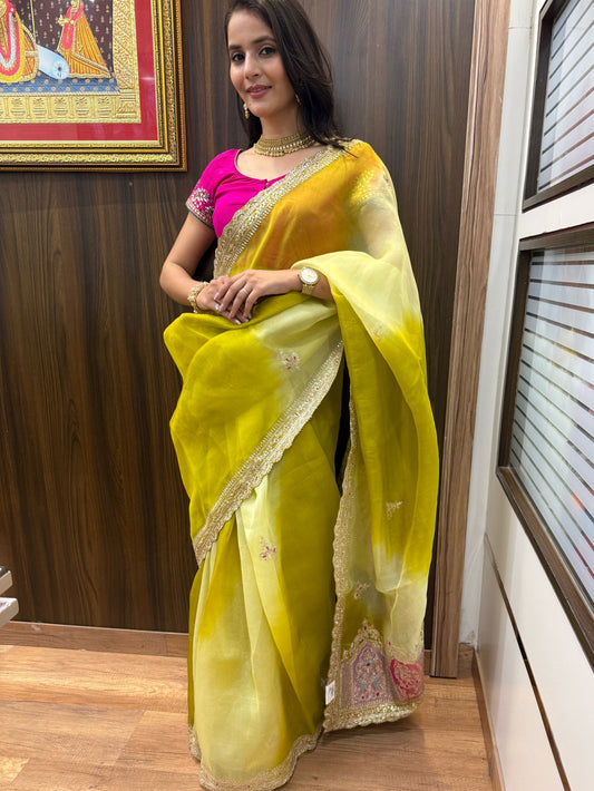 Yellow Kora Embroidered Designer Border Saree
